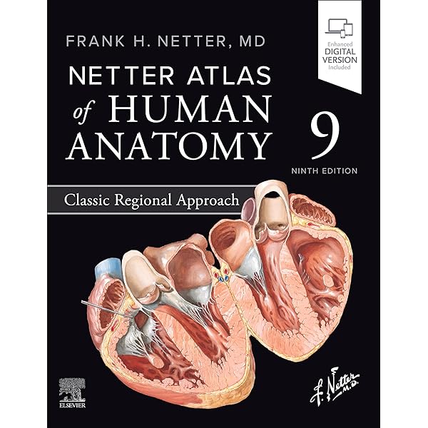 Amazon.com: Atlas of Human Anatomy E-Book: Digital eBook (Netter